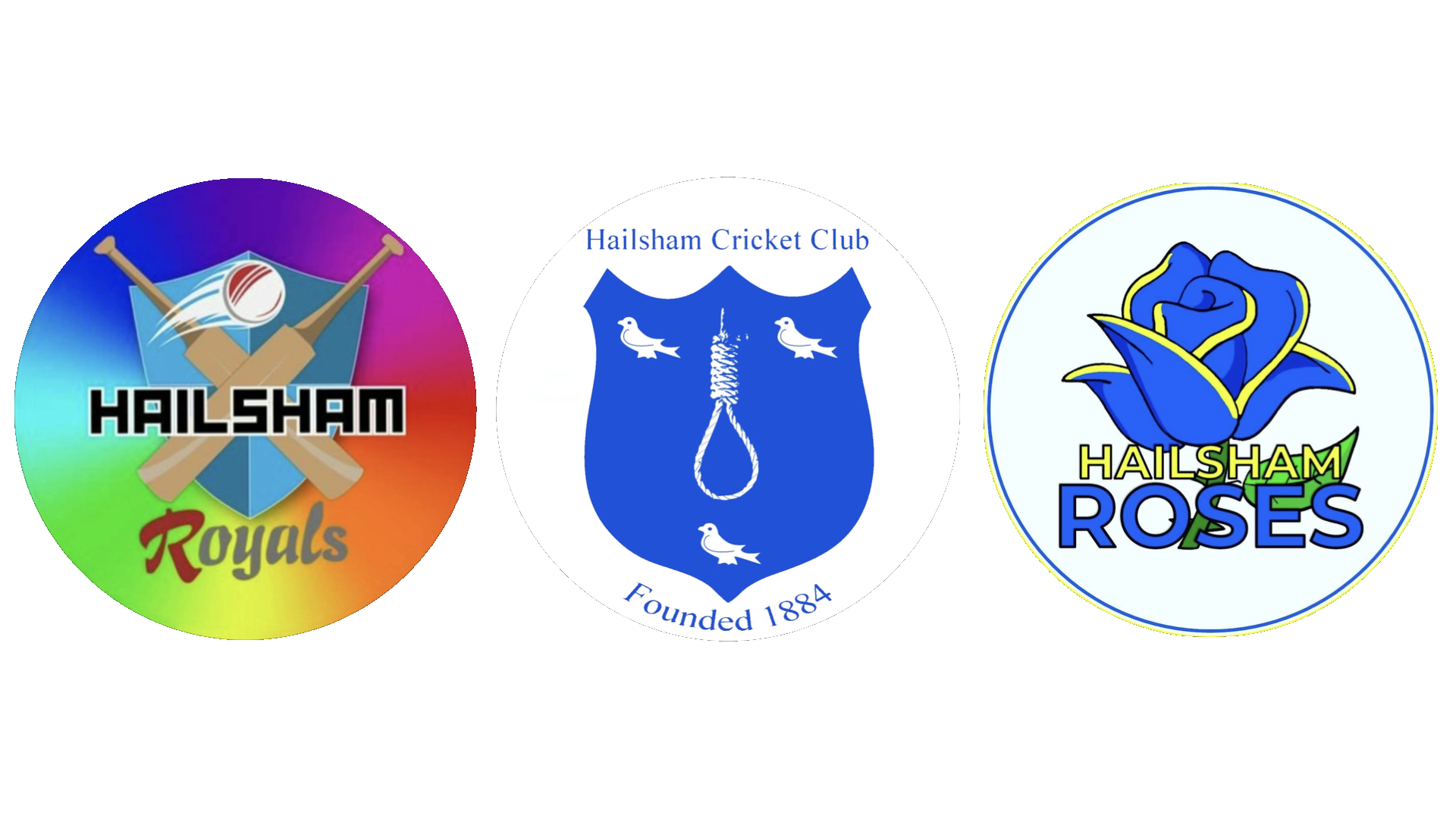 Hailsham Cricket Club Logo